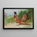 a male and female pheasant near gorse - Archibald Thorburn — framed artwork on a wall