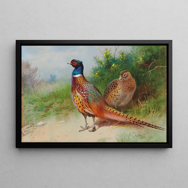 a male and female pheasant near gorse - Archibald Thorburn — framed artwork on a wall