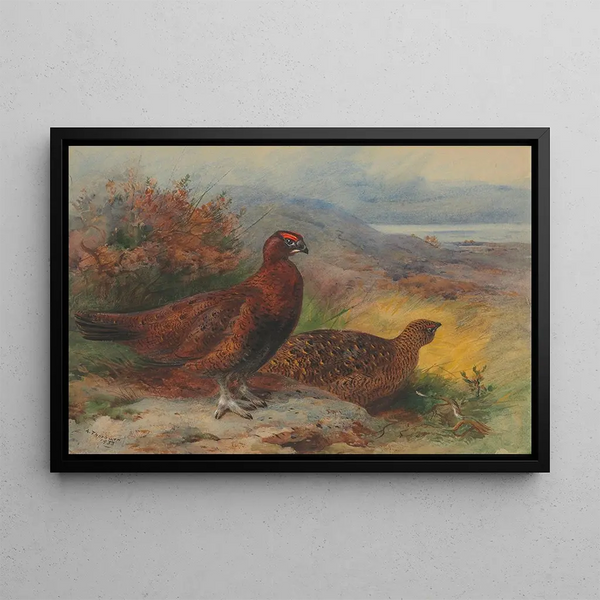 a couple of red lagopèdes in a landscape - Archibald Thorburn — framed artwork on a wall