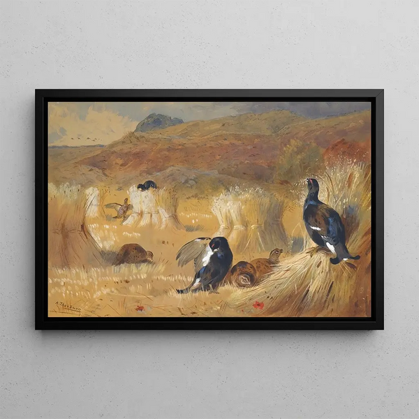 a capercaillie in a field - Archibald Thorburn — framed artwork on a wall