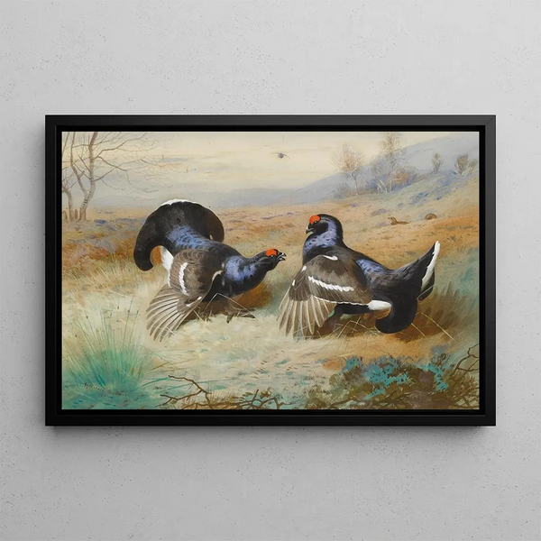 Tetrao-lyre at the lek - Archibald Thorburn — framed artwork on a wall