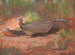 Pelican argus of Borneo - Archibald Thorburn — artwork view