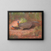 Pelican argus of Borneo - Archibald Thorburn — framed artwork on a wall