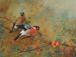 Bouvreuils et Pyrus japonica - Archibald Thorburn — artwork view