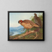 Cabots tragopan - Archibald Thorburn — framed artwork on a wall