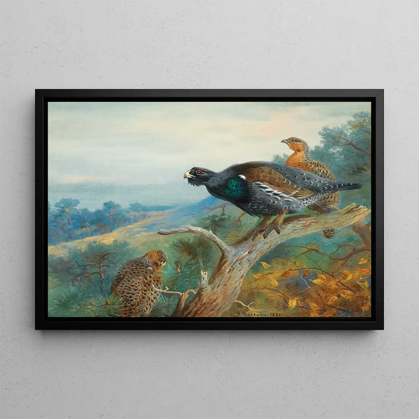 Grand Tétras - Archibald Thorburn — framed artwork on a wall