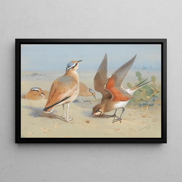 Courvite Isabelle and Glaréole - Archibald Thorburn — framed artwork on a wall
