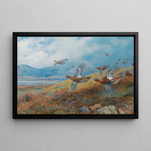 Grouse chassé - Archibald Thorburn — framed artwork on a wall