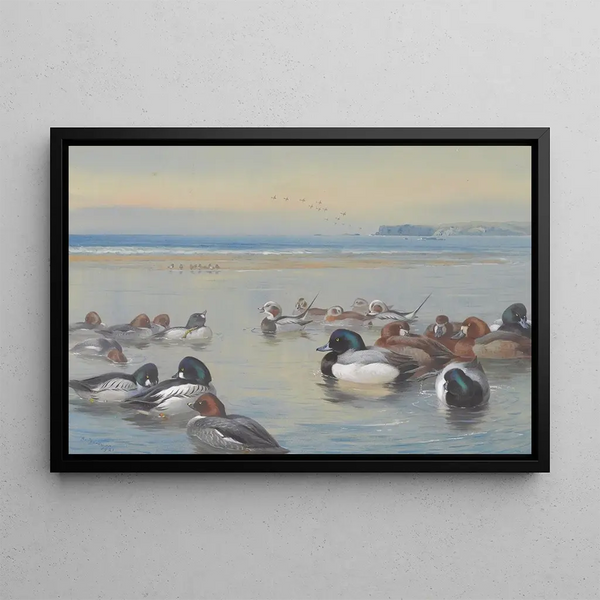Canards le long du rivage - Archibald Thorburn — framed artwork on a wall