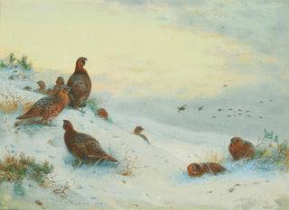 End of Season - Archibald Thorburn — artwork view