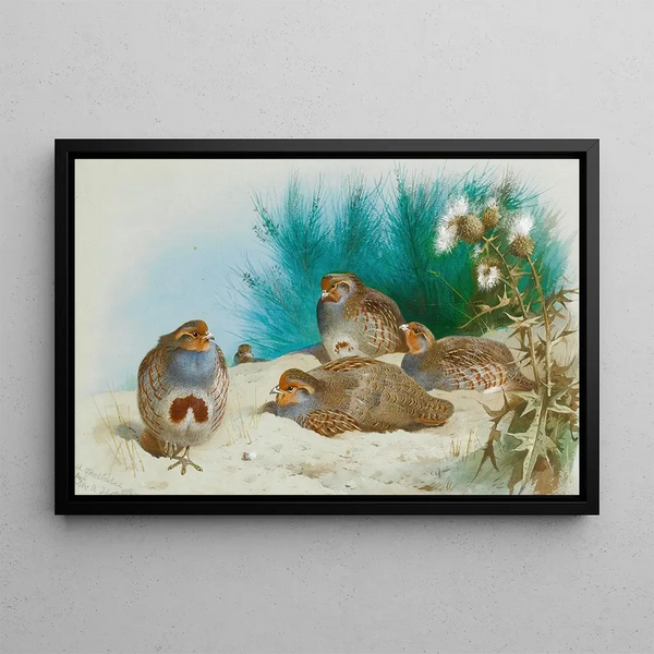 English Partridge painting with gorse and thistles - Archibald Thorburn — framed artwork on a wall