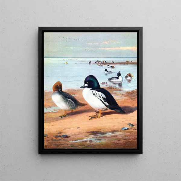 Eye of Gold - Archibald Thorburn — framed artwork on a wall