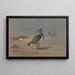 Vanneaux verts - Archibald Thorburn — framed artwork on a wall