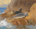 Gray and common seals resting - Archibald Thorburn — artwork view