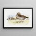 Gray Goose - Archibald Thorburn — framed artwork on a wall
