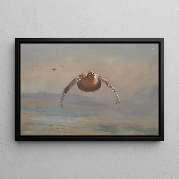 Grouse en vol - Archibald Thorburn — framed artwork on a wall