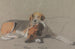 Dogs Flower and Frogmore - Archibald Thorburn — artwork view