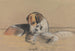 Dogs Seagull - Archibald Thorburn — artwork view