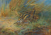 Bécassine sourde - Archibald Thorburn — artwork view