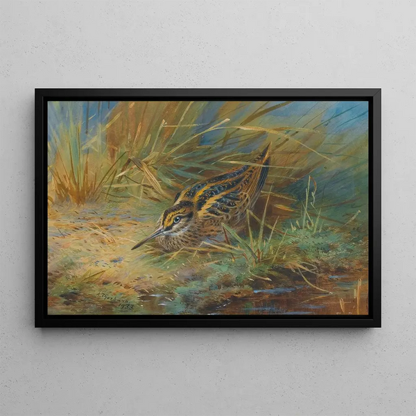 Bécassine sourde - Archibald Thorburn — framed artwork on a wall