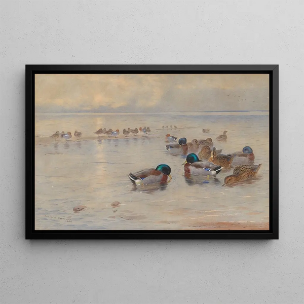 Canards colverts sur un lac - Archibald Thorburn — framed artwork on a wall
