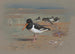 Hunters of Oysters - Archibald Thorburn — artwork view