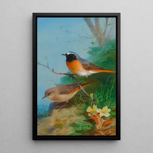 Reproduction of the painting Couple of Redstarts - Archibald Thorburn