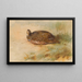 Perdrix - Archibald Thorburn — framed artwork on a wall