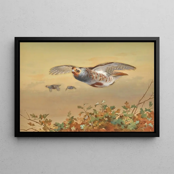 Partridge in flight - Archibald Thorburn — framed artwork on a wall