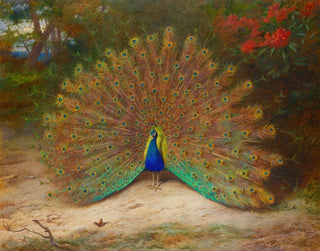 Peacock and peacock butterfly - Archibald Thorburn — artwork view