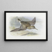 Bécasseau à poitrine cendrée - Archibald Thorburn — framed artwork on a wall