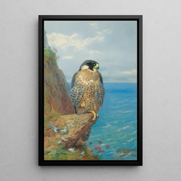 Reproduction of the painting Peregrine Falcon at Auchencairn - Archibald Thorburn