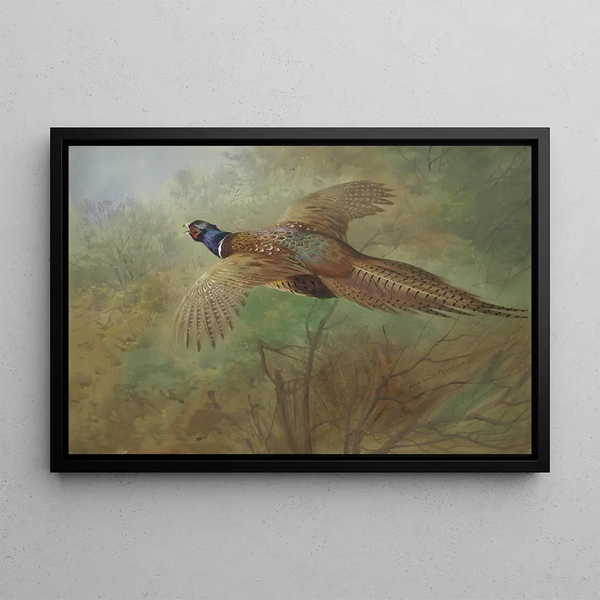 Pheasant in flight - Archibald Thorburn — framed artwork on a wall
