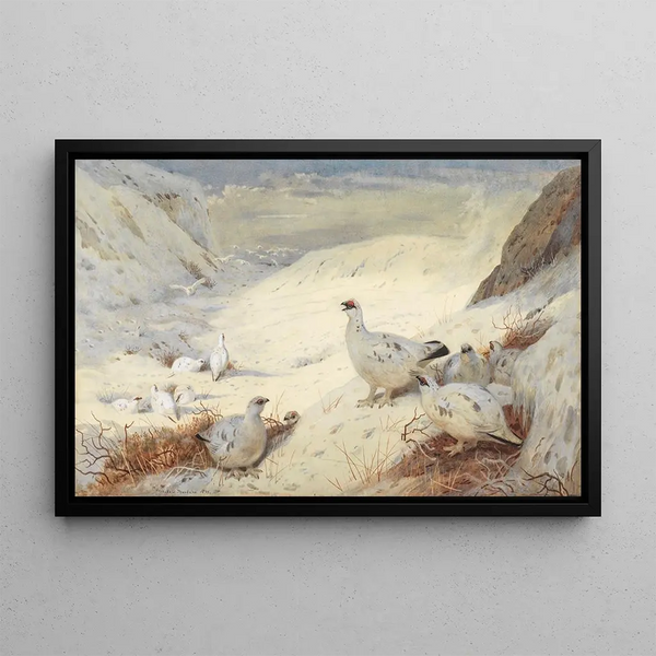 Winter Plumage Lagopède signed and dated 1899 - Archibald Thorburn — framed artwork on a wall