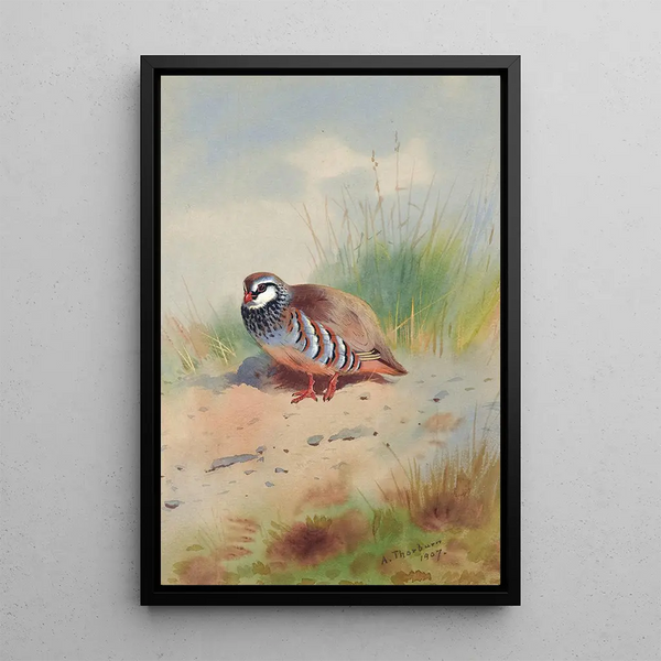 Red Partridge Painting - Archibald Thorburn — framed artwork on a wall
