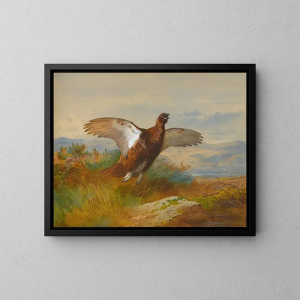 Grouse rouge en vol - Archibald Thorburn — framed artwork on a wall