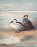 Smew - Archibald Thorburn — artwork view