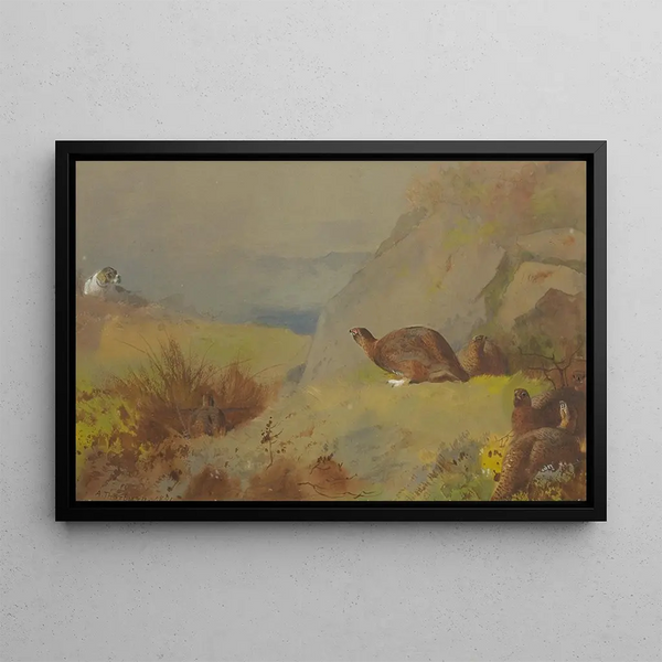 Study for grouses on the moor - Archibald Thorburn — framed artwork on a wall
