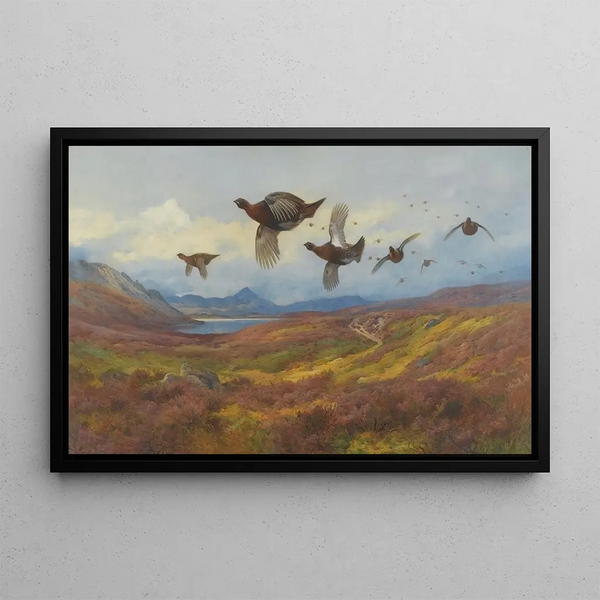Avoiding guns, red grouse - Archibald Thorburn — framed artwork on a wall