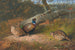 The Fallen Beech Tree, a Rooster, and Three Pheasants with a Wasp - Archibald Thorburn — artwork view
