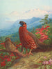 The Tragopan Satyr - Archibald Thorburn — artwork view