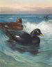 Velvet Macreuse Painting - Archibald Thorburn — artwork view