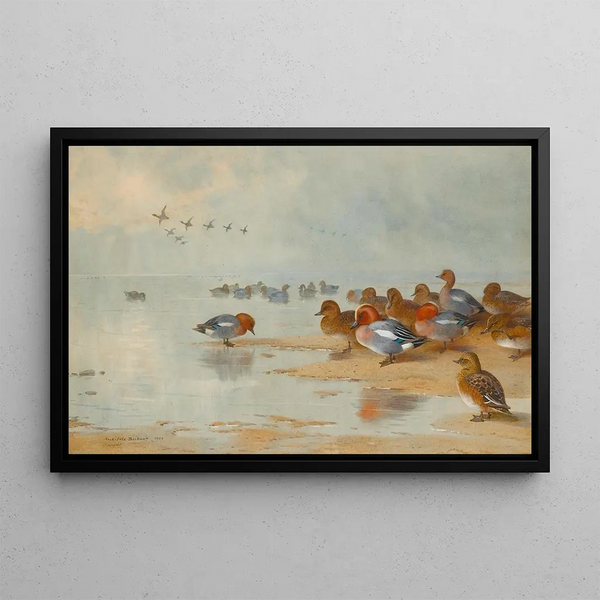 Sarcelle et canard siffleur au bord de l'eau - Archibald Thorburn — framed artwork on a wall