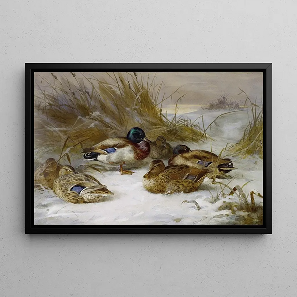 Winter landscape painting with mallard - Archibald Thorburn — framed artwork on a wall