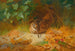 Bécasse - Archibald Thorburn — artwork view