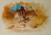 Bécasse dans un creux sablonneux - Archibald Thorburn — artwork view