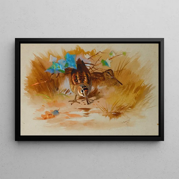 Bécasse dans un creux sablonneux - Archibald Thorburn — framed artwork on a wall