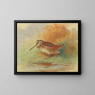 Bécasse au bord de l'eau - Archibald Thorburn — framed artwork on a wall