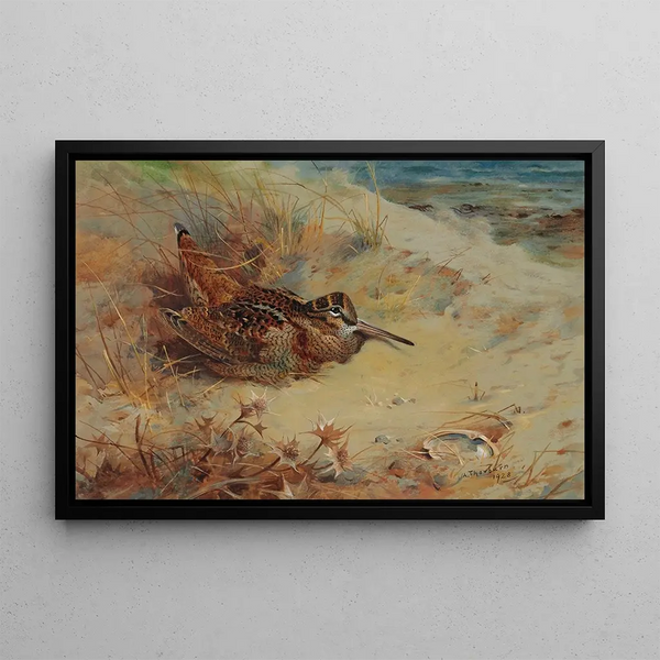 Bécasse abritée dans les dunes de sable - Archibald Thorburn — framed artwork on a wall