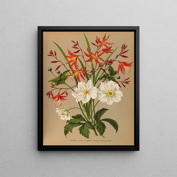 Crocosmia aurea 2 Japanese Anemone Honorine Jobert - Arentina Hendrica Arendsen — framed artwork on a wall